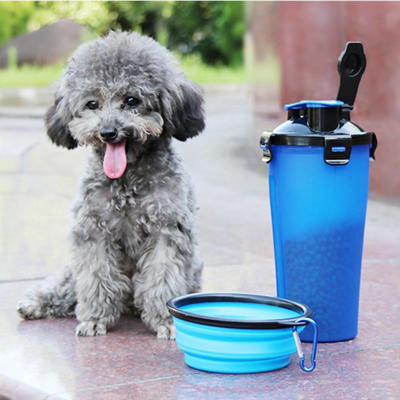 Pet Water Set