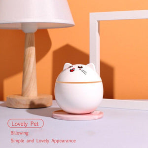 Kitty Humidifier