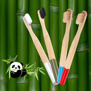 Bamboo Toothbrush