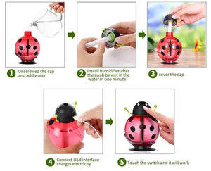 Ladybug Humidifier