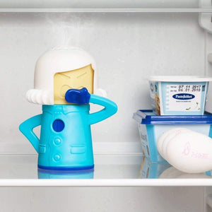 Deodorizing Refrigerator Maid