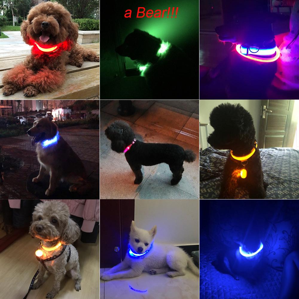 LED DOG COLLAR