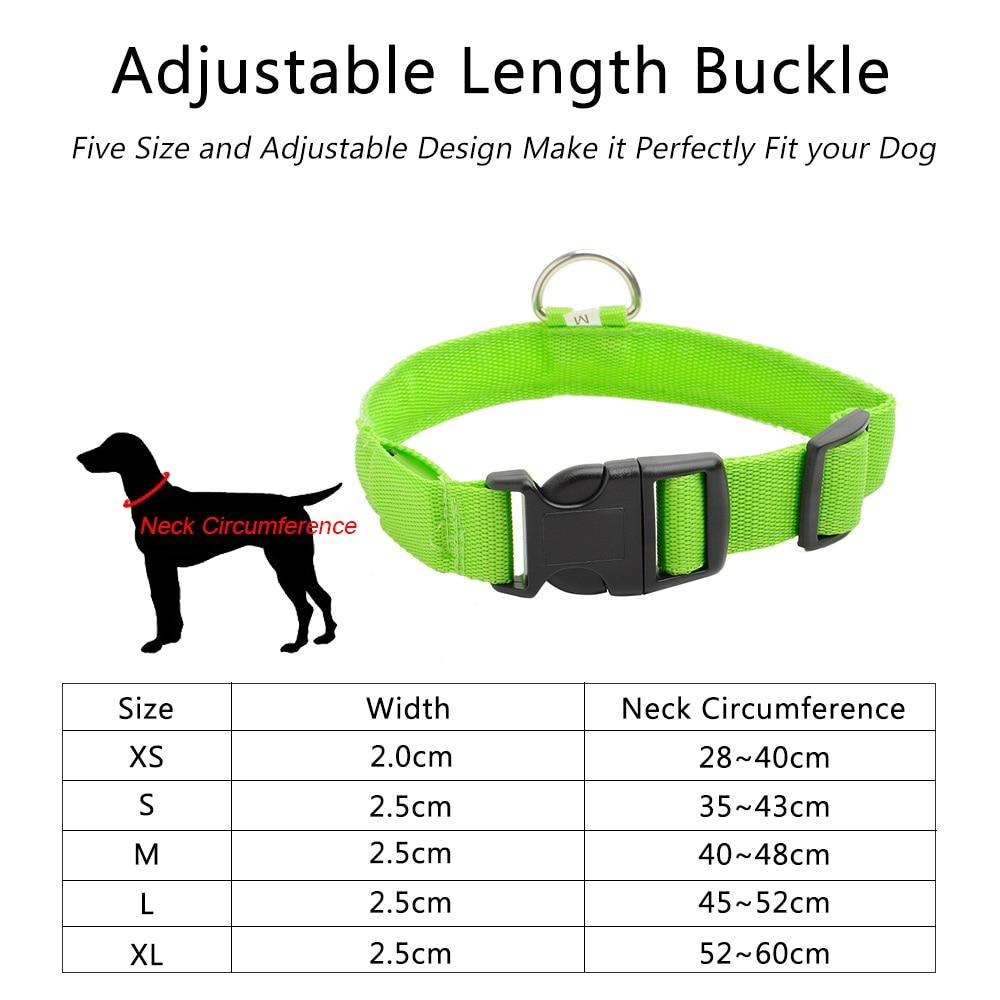 LED DOG COLLAR