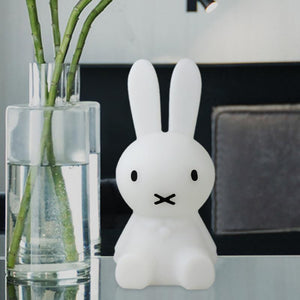 Hoppy Lamp LED Nightlight