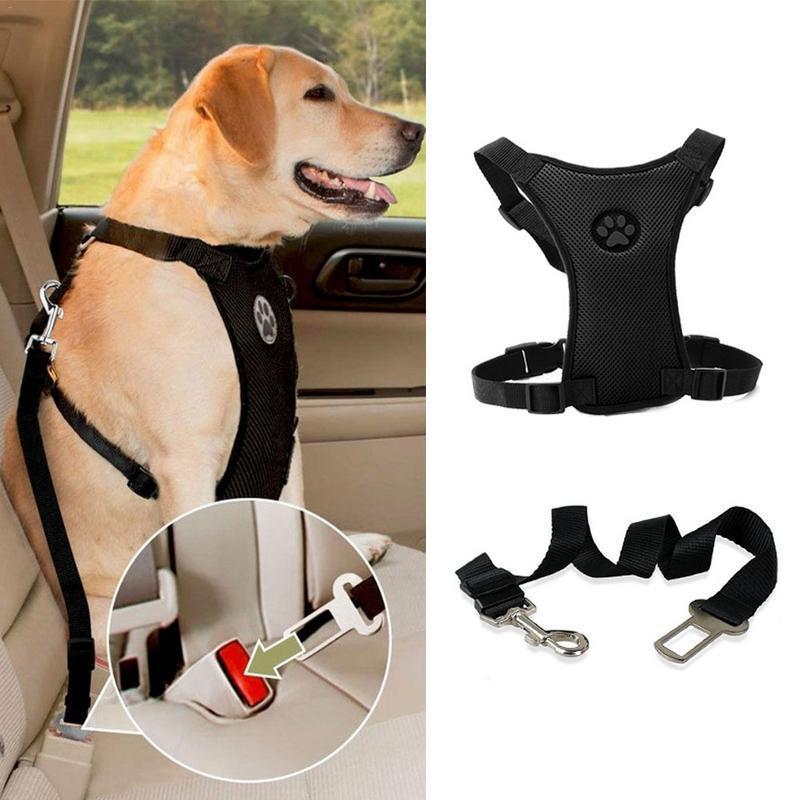 Dog Car Harness