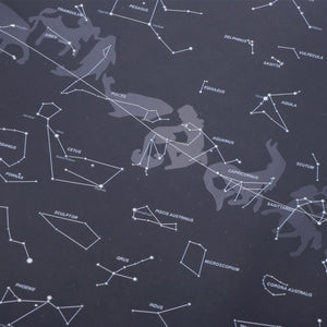 Constellation Star Map