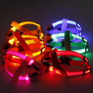 Super Safe LED Dog Harness
