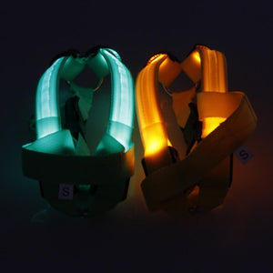 Super Safe LED Dog Harness