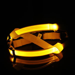 Super Safe LED Dog Harness