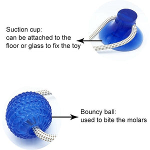 Dog Suction Ball