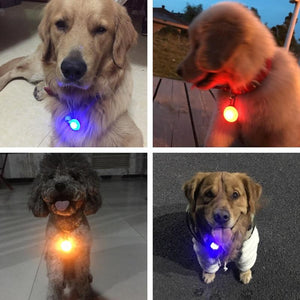 Safe Pet Light