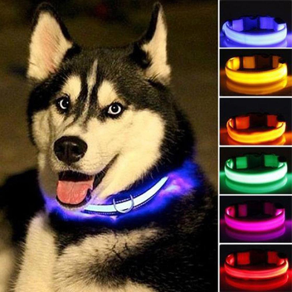 Glow Pet Collar