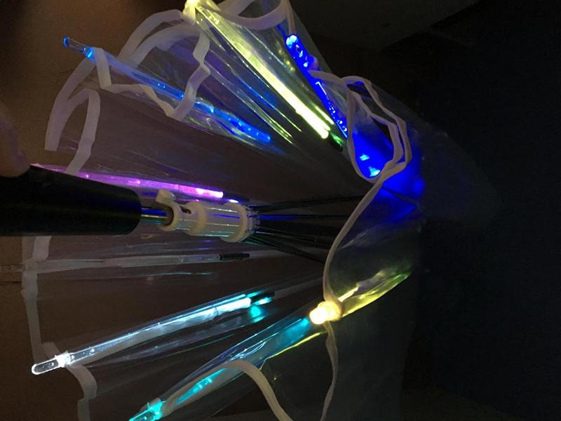 LED Transparent Umbrella