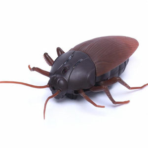 Remote-Controlled Cockroach