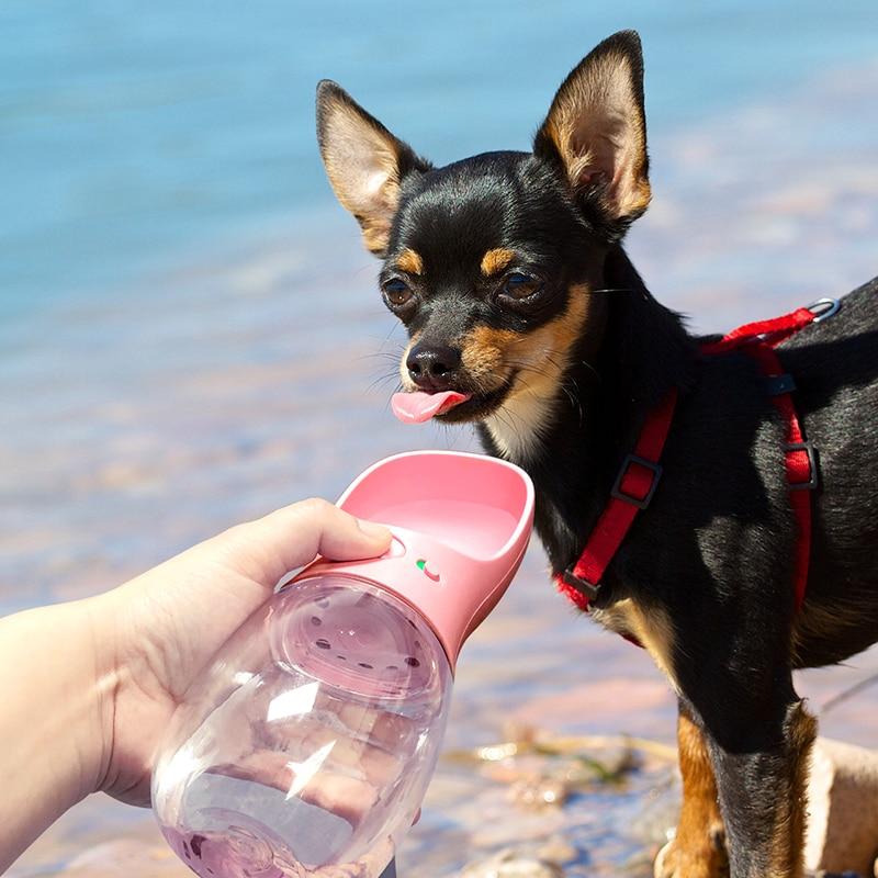 Doggy Bottle