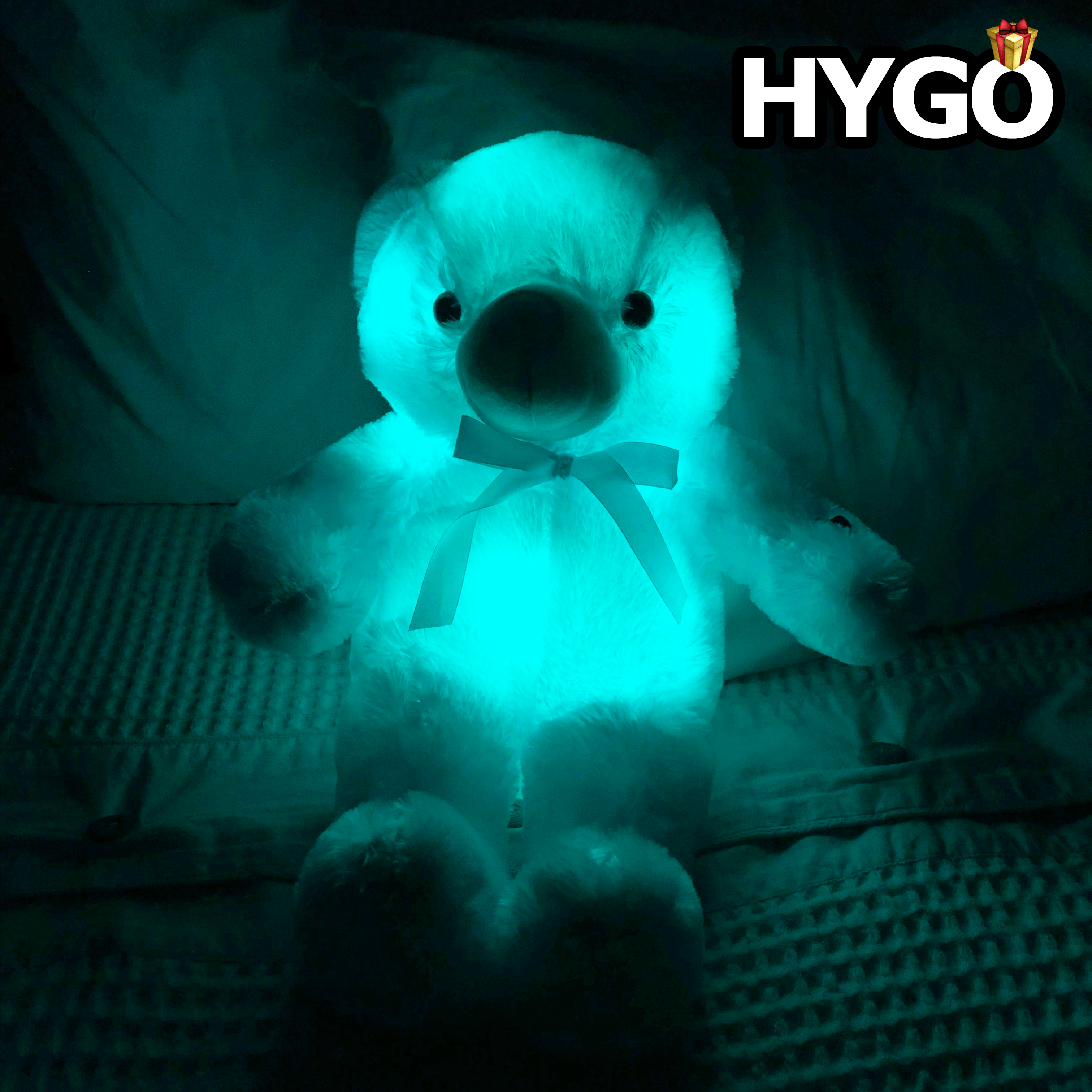 Light Up LED Teddy Bear