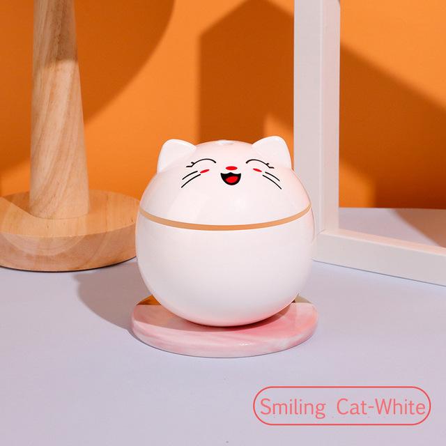 Kitty Humidifier