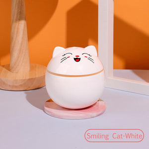 Kitty Humidifier