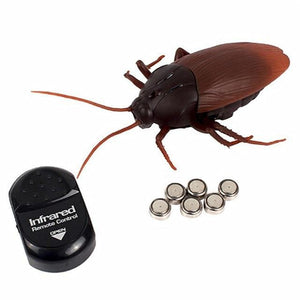 Remote-Controlled Cockroach