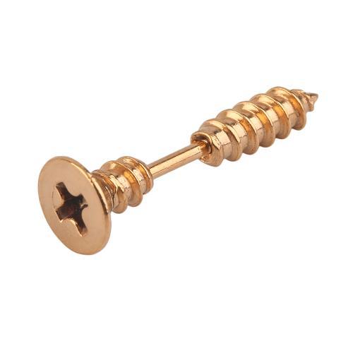 Stud Screw Earring