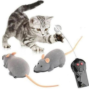 Wireless Controllable Rat