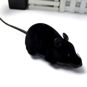 Wireless Controllable Rat