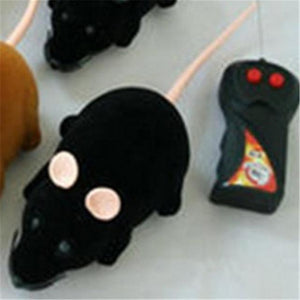 Wireless Controllable Rat