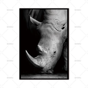 Animal Canvas Wall Art