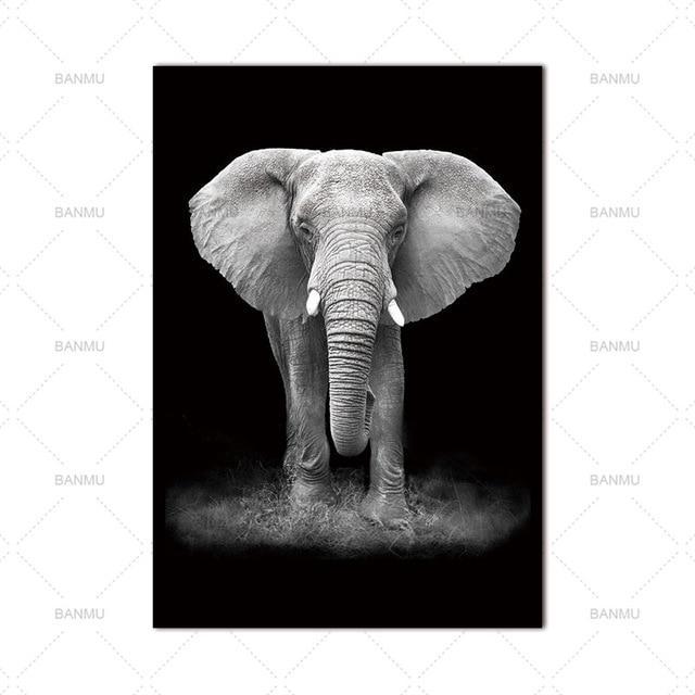 Animal Canvas Wall Art