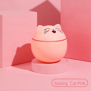 Kitty Humidifier