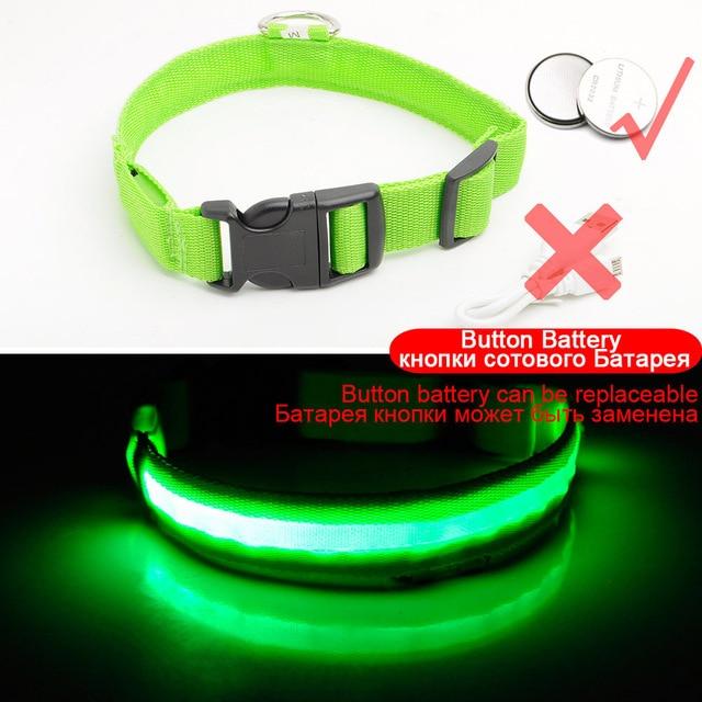 LED DOG COLLAR