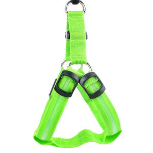 Super Safe LED Dog Harness