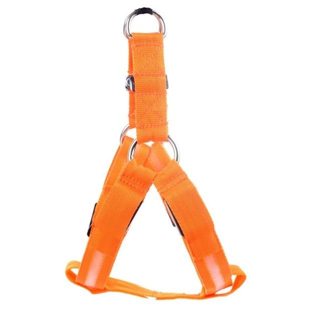 Super Safe LED Dog Harness