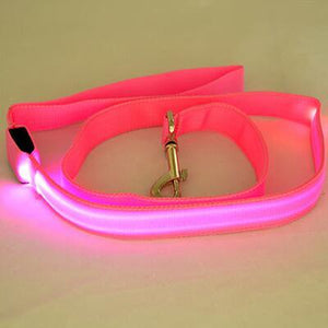 Dog Bright Collar