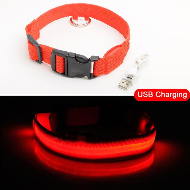 LED DOG COLLAR