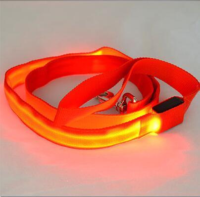 Dog Bright Collar