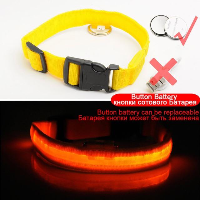 LED DOG COLLAR