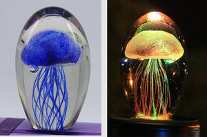 Jellyfish Light