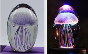 Jellyfish Light